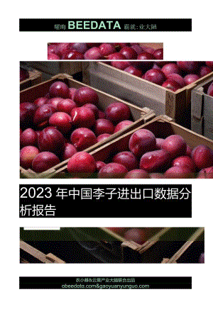 【研报】农小蜂&云果-2023年中国李子进出口数据分析报告-2023_市场营销策划_2023年市场研.docx