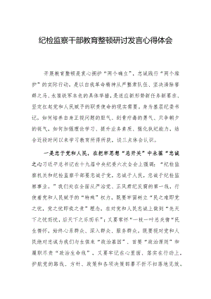 2023年纪检监察干部教育整顿研讨发言心得体会二.docx