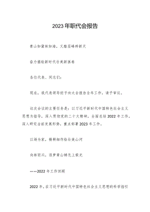 2023年职代会报告.docx