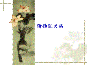 猪伪狂犬病1.ppt