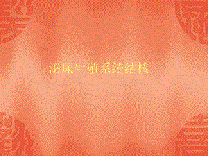 泌尿生殖系统结核.ppt