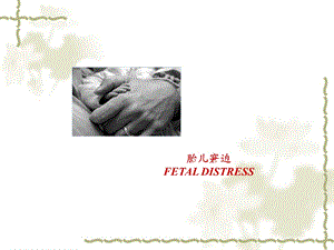 胎儿窘迫ppt幻灯片.ppt