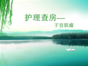 护理查房—子宫肌瘤.ppt