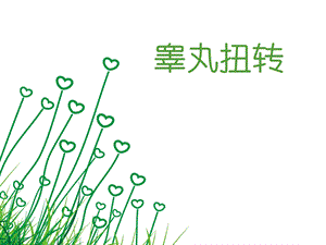 睾丸扭转医学ppt.ppt
