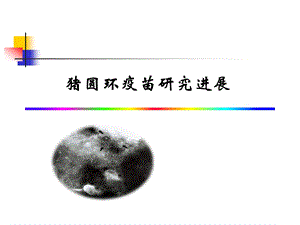 猪圆环病毒最新进展.ppt