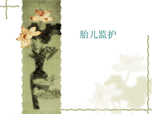 胎儿监护图像.ppt