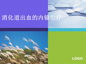 消化道出血的内镜治疗.ppt