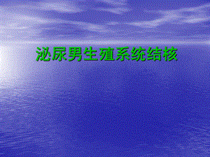 泌尿男生殖系统结核.ppt