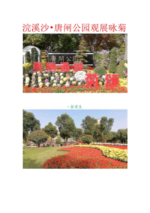 浣溪沙-唐闸公园观展咏菊.docx