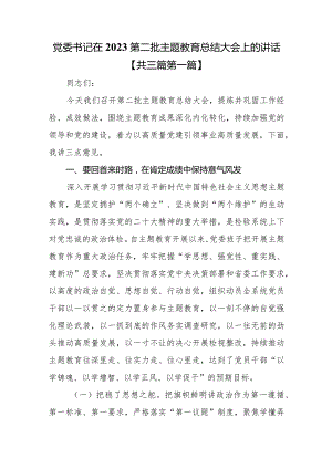 （3篇）党委书记在2023第二批主题教育专题总结大会上的讲话.docx