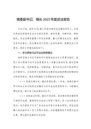 镇委副书记镇长2023年度述法报告五篇.docx
