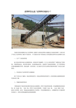 皮带秤怎么选？皮带秤价格多少？.docx