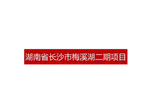 湖南长沙市梅溪湖二期项目投资可行性分析报告-2021.docx