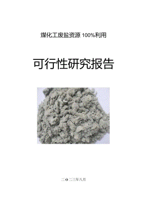 煤化工废盐资源100%利用、年产10万吨催化剂项目可行性研究报告.docx