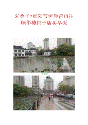 采桑子-重阳节翌晨冒雨往顺华楼包子店买早饭.docx