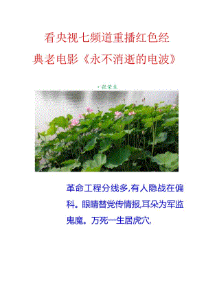 看央视七频道重播红色经典老电影《永不消逝的电波》.docx