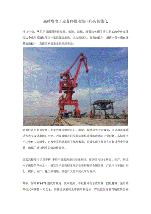 高精度电子皮带秤 赋能港口智能化发展.docx