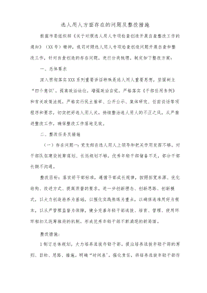 选人用人方面存在的问题及整改措施.docx