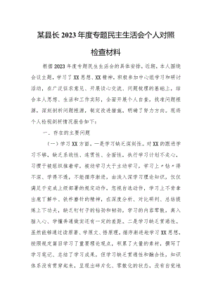 某县长2023年度专题民主生活会个人对照检查材料.docx
