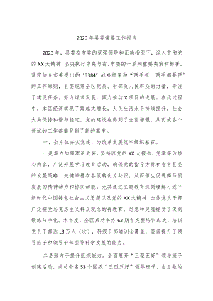 2023年县委常委工作报告.docx