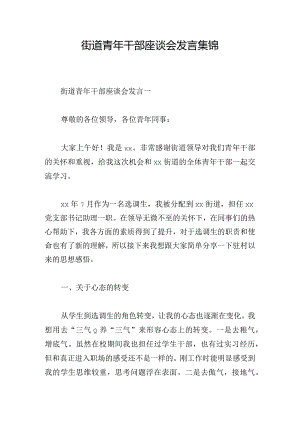街道青年干部座谈会发言集锦.docx