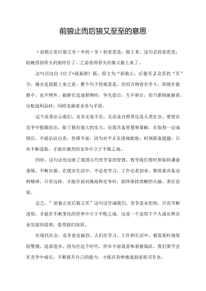 前狼止而后狼又至至的意思.docx