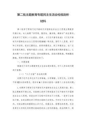第二批主题教育专题民主生活会检视剖析材料（新六个方面）.docx