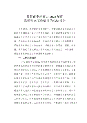 某某市委巡察办2023年度意识形态工作情况的总结报告.docx