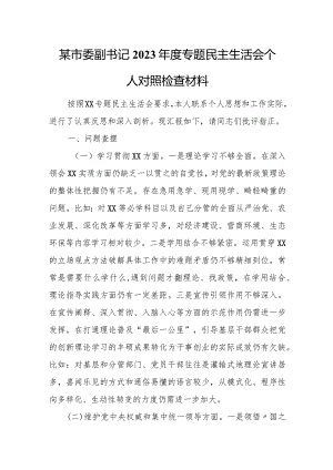 某市委副书记2023年度专题民主生活会个人对照检查材料.docx