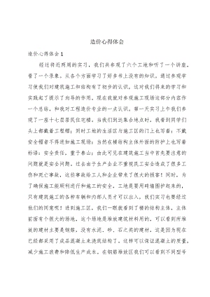 造价心得体会.docx