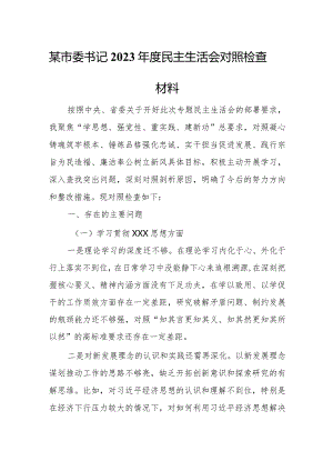 某市委书记2023年度民主生活会对照检查材料.docx