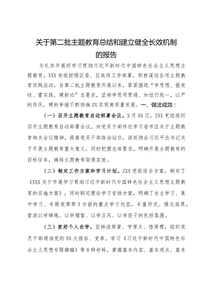党组关于第二批主题教育总结和建立健全长效机制的报告.docx
