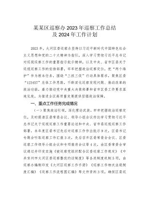某某区巡察办2023年巡察工作总结及2024年工作计划.docx