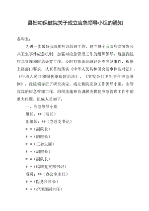 县妇幼保健院关于成立应急领导小组的通知.docx