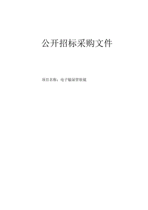 医院电子输尿管软镜项目招标文件.docx