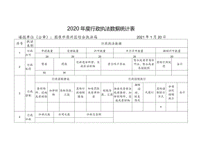 2020年度行政执法数据统计表.docx