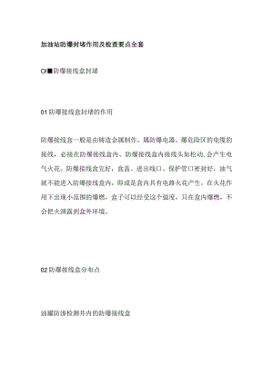 加油站防爆封堵作用及检查要点全套.docx