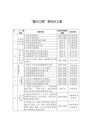“重大工程”责任分工表.docx