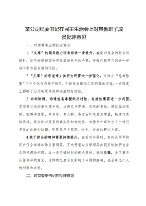 某公司纪委书记在主题教育专题民主生活会上对其他班子成员批评意见.docx