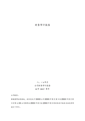 财务审计报告.docx