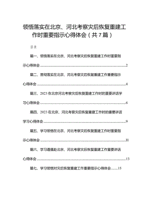 领悟落实在北京、河北考察灾后恢复重建工作时重要指示心得体会最新精选版【7篇】.docx