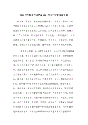 2023年乡镇工作总结及2024年工作计划多篇汇编.docx
