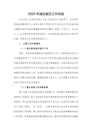 2023年减灾救灾工作总结.docx