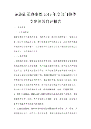 浓洄街道办事处2019年度部门整体支出绩效自评报告.docx