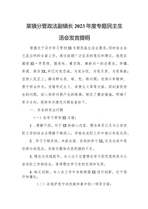 某镇分管政法副镇长2023年度专题民主生活会发言提纲.docx