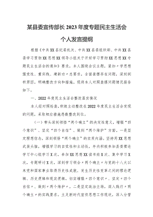 某县委宣传部长2023年度专题民主生活会个人发言提纲.docx