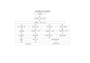 急诊检诊分诊流程.docx