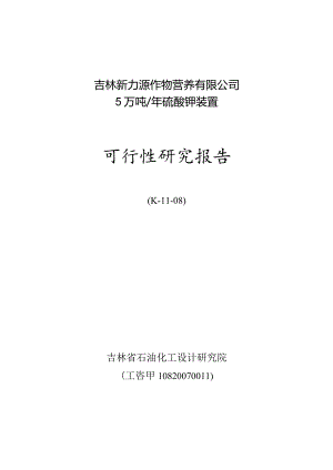 某公司硫酸钾装置可行性研究报告.docx