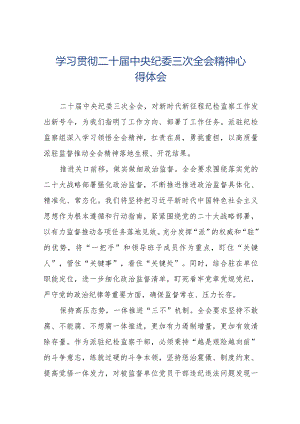 纪检监察干部学习二十届中央纪委三次全会精神心得体会十九篇.docx