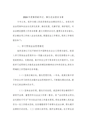 2024年度镇委副书记、镇长述法报告3篇.docx